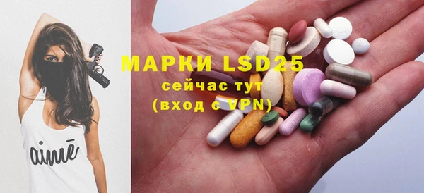 стафф Магадан