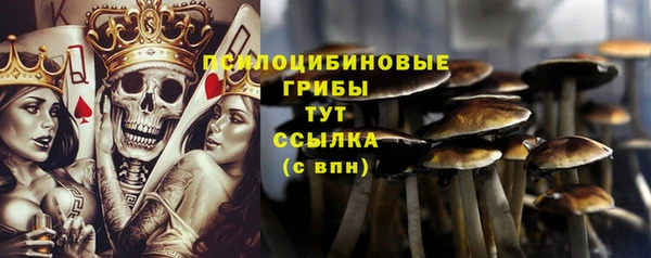 бошки Медногорск