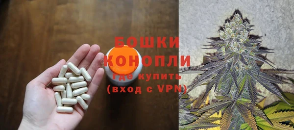бошки Медногорск