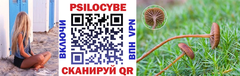 Купить  Хасавюрт  Псилоцибиновые грибы Magic Shrooms 
