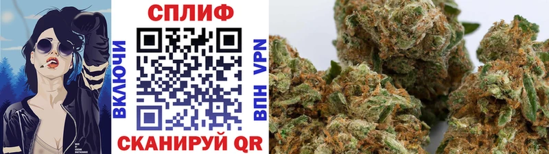 Купить закладки  Хасавюрт  Бошки Шишки White Widow 